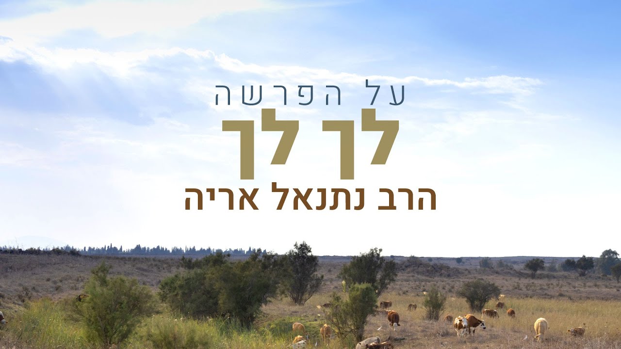 מה הקשר בין ברית המילה לארץ ישראל? - הרב נתנאל אריה | דבר תורה לפרשת לך לך