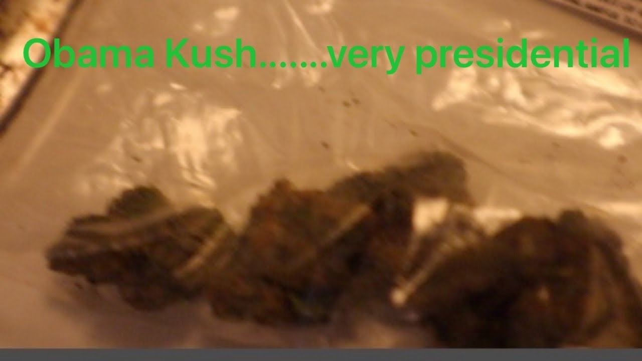 Obama Kush Review