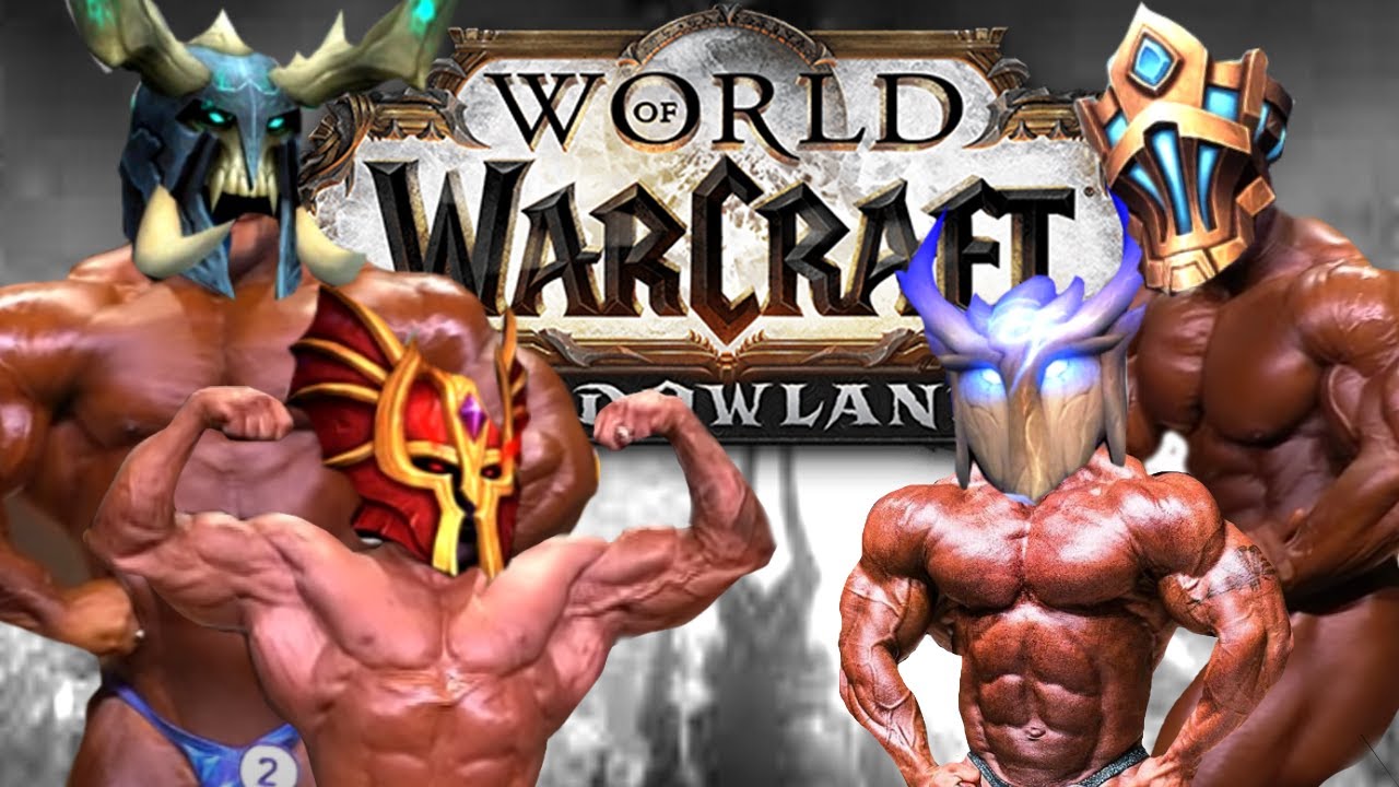 WoW Shadowlands Retribution Paladin Experience