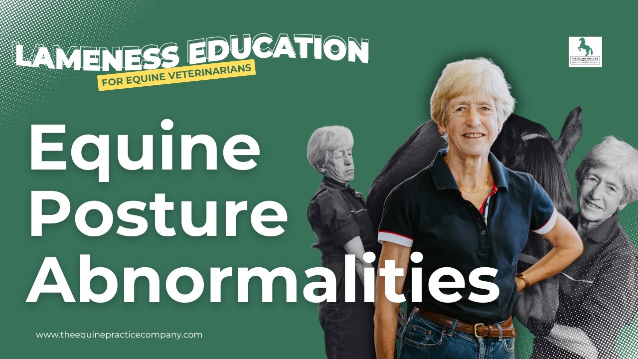 Equine Posture Abnormalities: How to Use Anatomy to Diagnose Lameness
