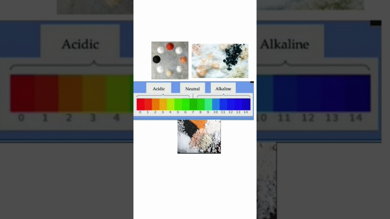 NEUTRALISATION REACTION #scerttextbook #chemistry#class9#chapter5#waytoscience