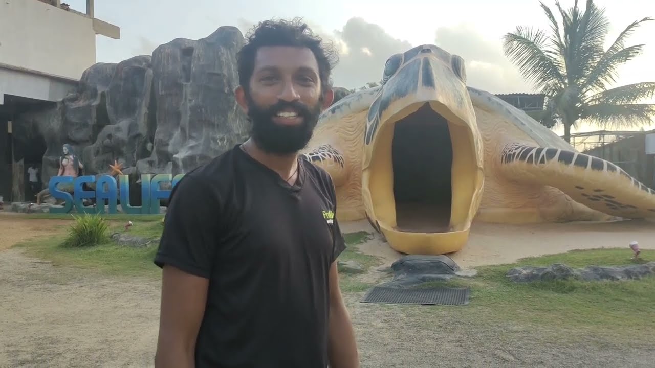 කැස්බෑවන් ගැන දැනගන්න යන්න ඕන සුපිරිම තැන | Ahungalla Sea Turtle Conservation & Research Centre