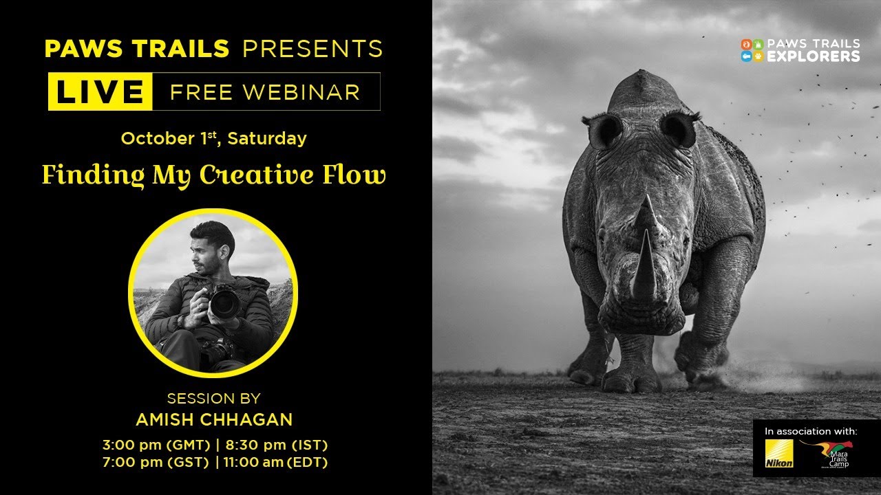 Finding My Creative Flow by Amish Chhagan