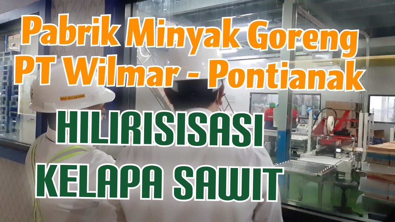 Melihat Produksi dan Pasar Minyak Goreng PT Wilmar - Pontianak
