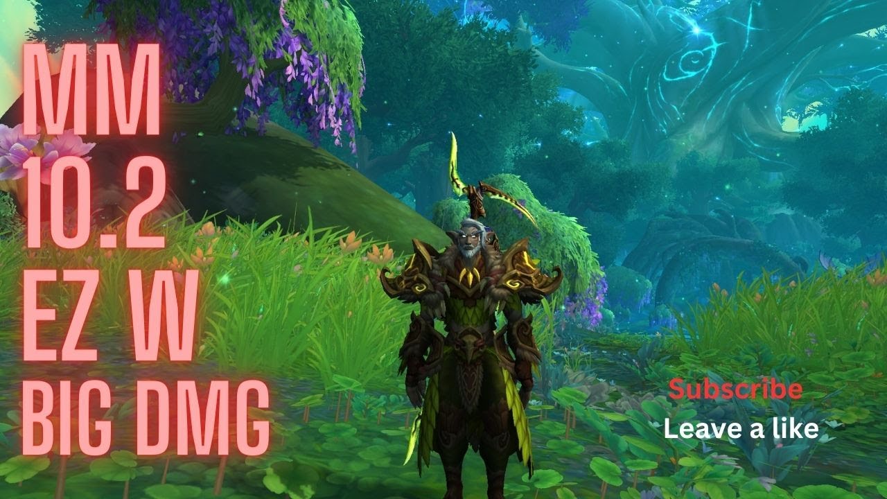 Marksman Hunter 10.2 Bg Pvp Dragonflight