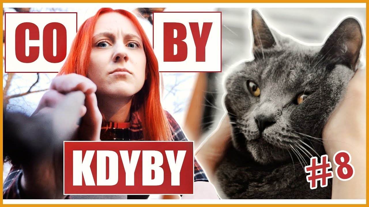 CO BY KDYBY si Natyla pořídila kočku? #8 | NATYLA & Dan