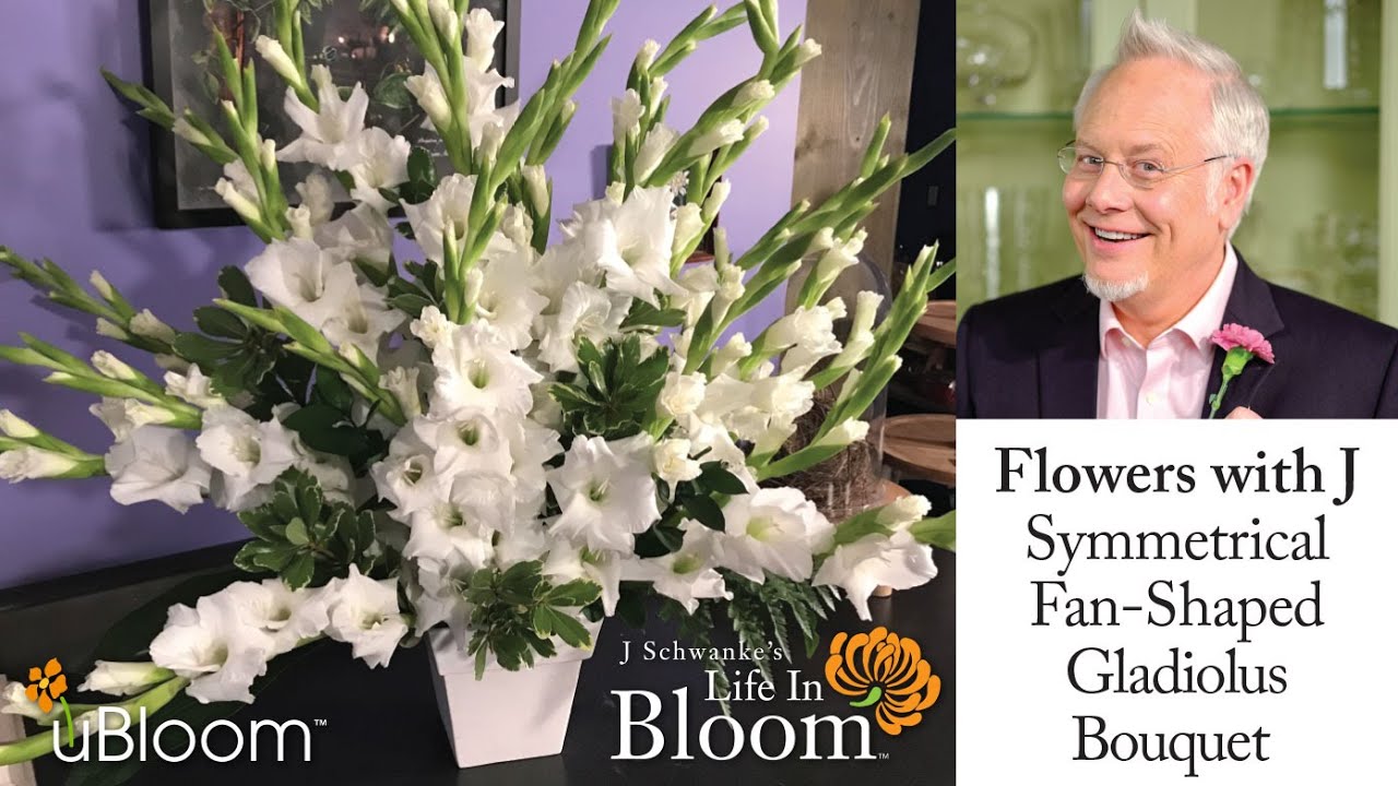 Symmetrical Fan-Shaped Gladiolus Arrangement- LIVE with J