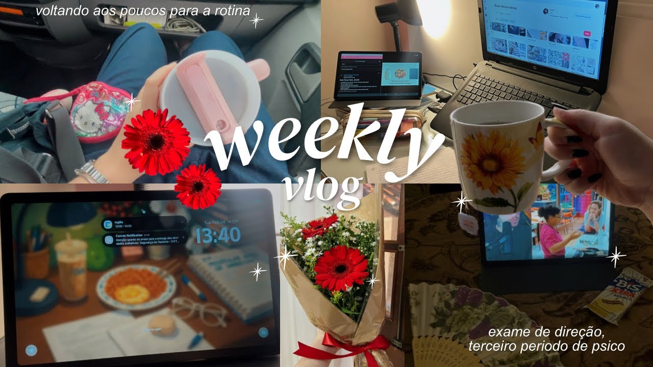 weekly vlog | voltando para a rotina aos poucos pós carnaval, rotina de faculdade e exame de direção