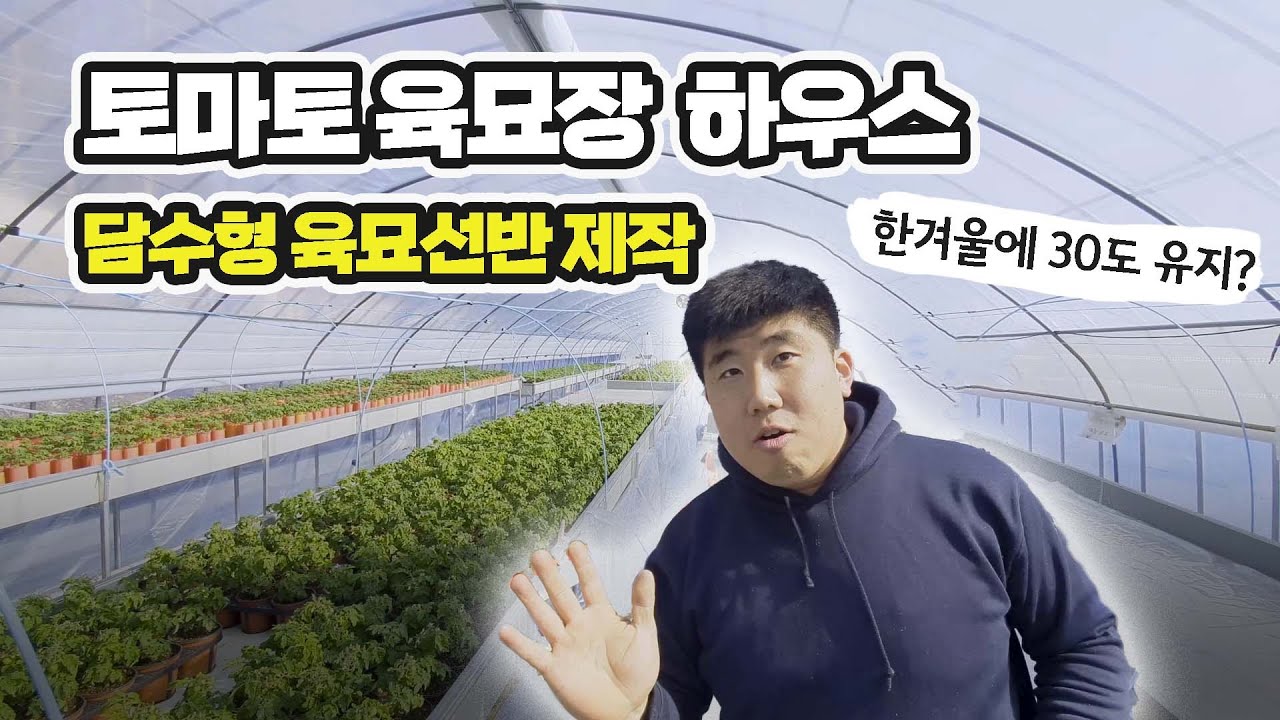 담수형 선반! 토마토 육묘장 하우스/ 선반 제작시 주의할 점?
