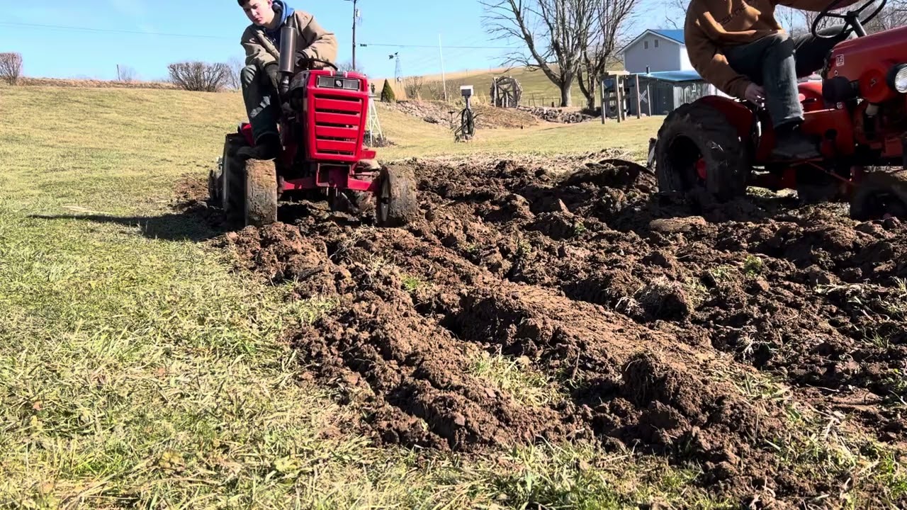 Wheel horse and Jim dandy in garden