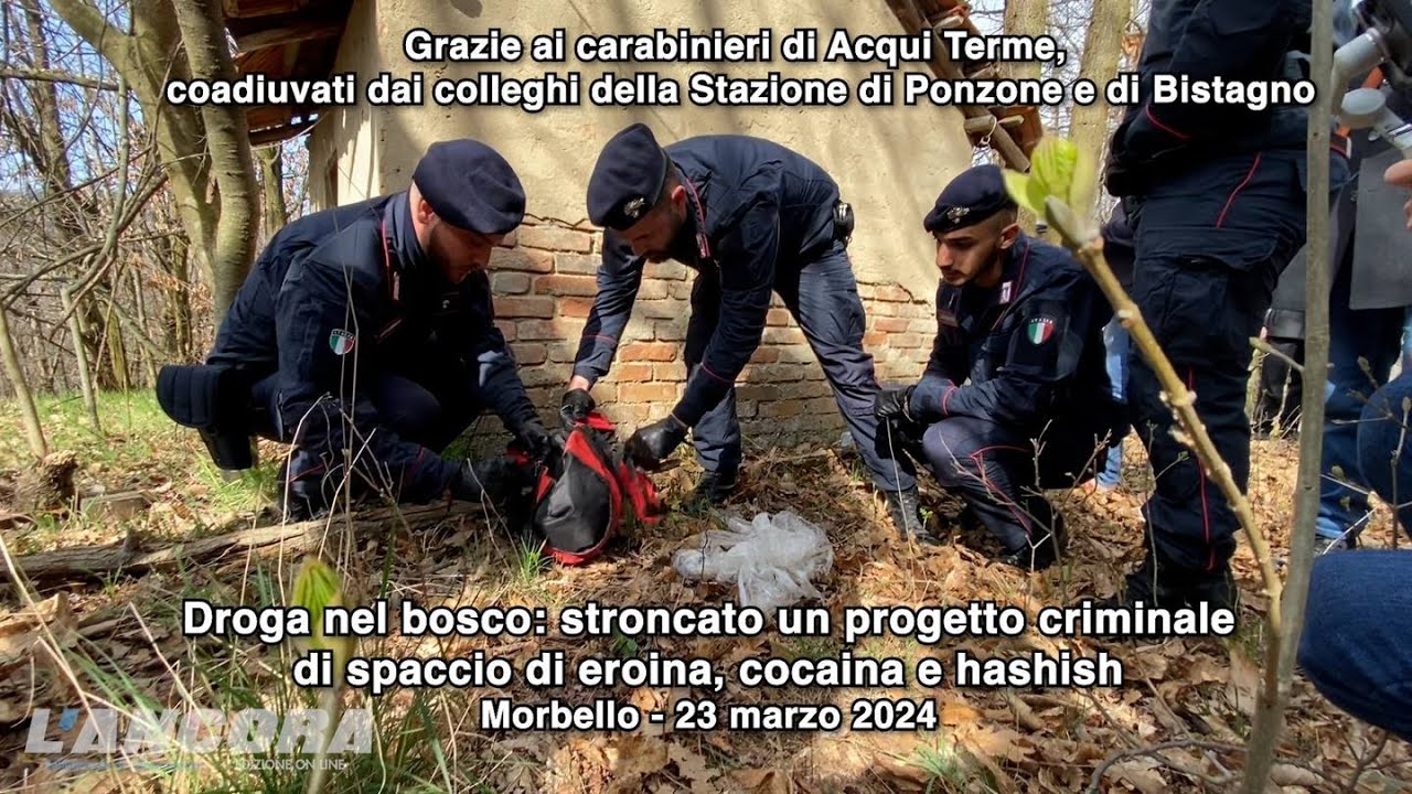 Droga nel bosco: stroncato un progetto criminale di spaccio di eroina, cocaina e hashish