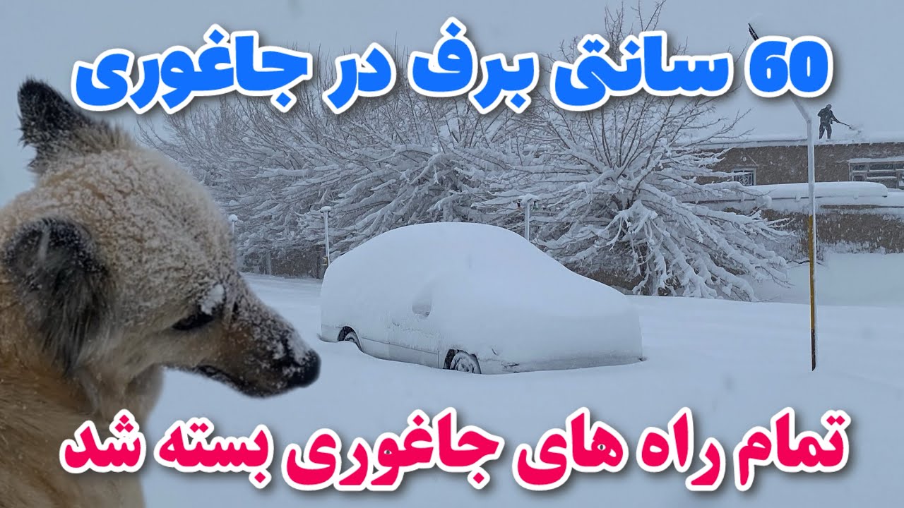 برفباری بی سابقه در جاغوری! Heavy snowfall in Jaghori 💯 راه های مواصلاتی در جاغوری بسته شد
