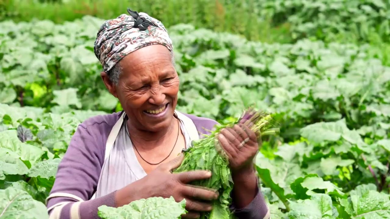 የከተማ ግብርና - Qonna magaalaa Sagantaa Madi Guutuu, Hana