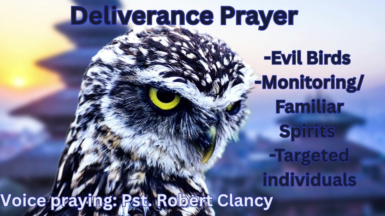 DELIVERANCE PRAYER PACKAGE for TARGETED INDIVIDUALS|AGAINST MONITORING &FAMILIAR SPIRITS| EVIL BIRDS