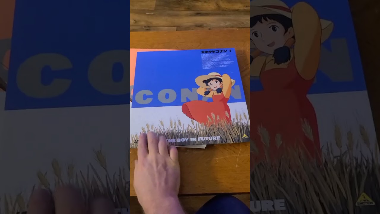 My first Japanese Laserdisc