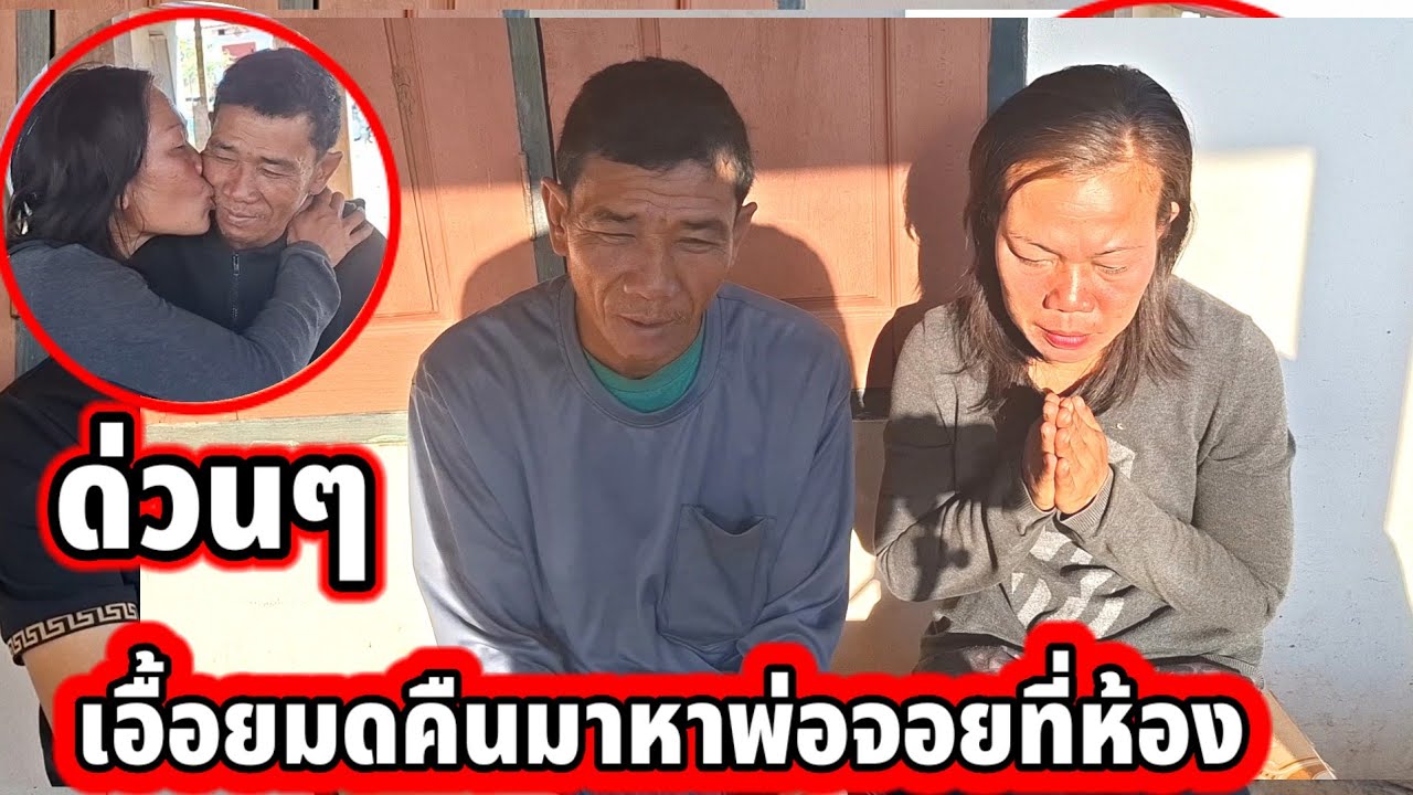 #ด่วนๆเอื้อยมดกินไม่ได้นอนไม่หลับบุกกมาถึงห้องพ่อจอย‼️ 13 กุมภาพันธ์ ค.ศ. 2026