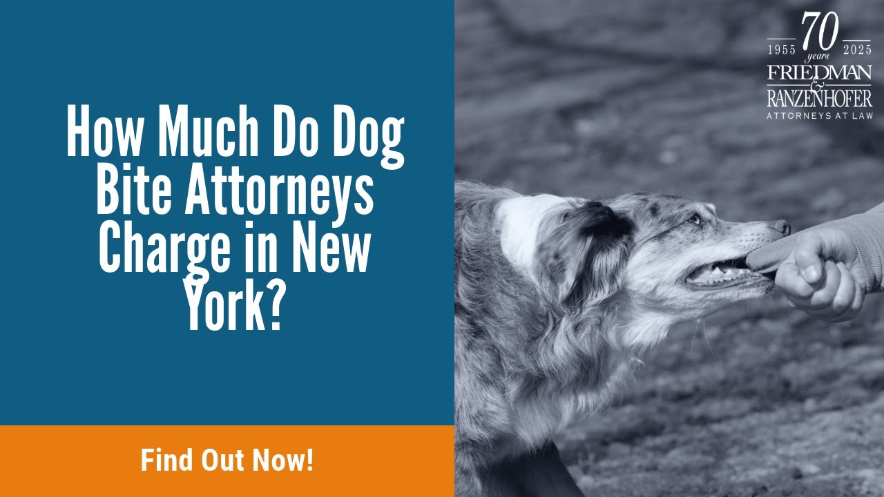 How Much Do Dog Bite Attorneys Charge in New York? | Find Out Now!