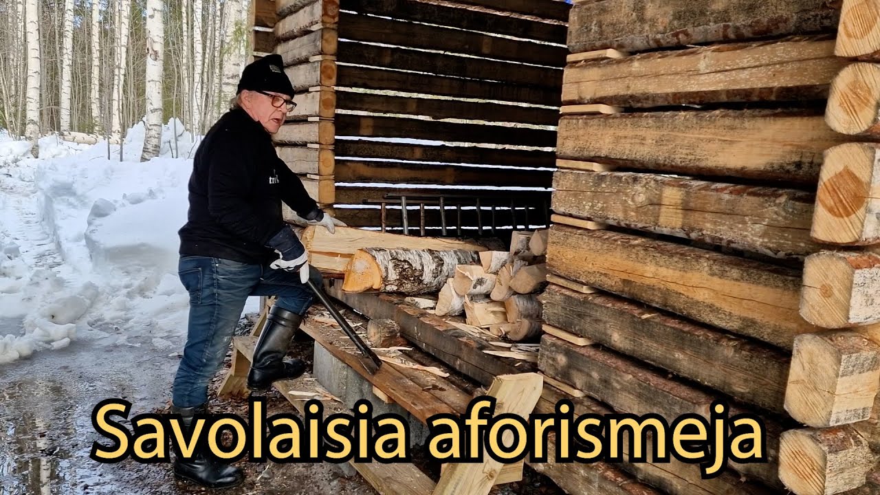 Savolaisia aforismeja