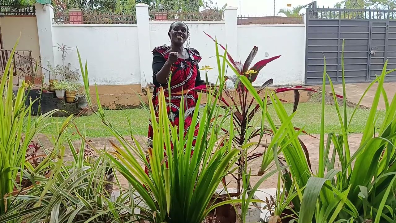 Haunted houses in Uganda East Africa