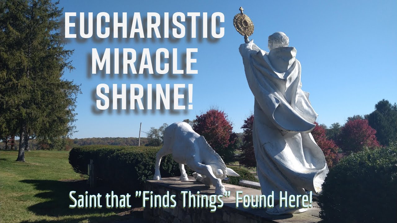 236 acre St. Anthony Shrine in Howard County, Maryland highlights little known Eucharistic miracle!