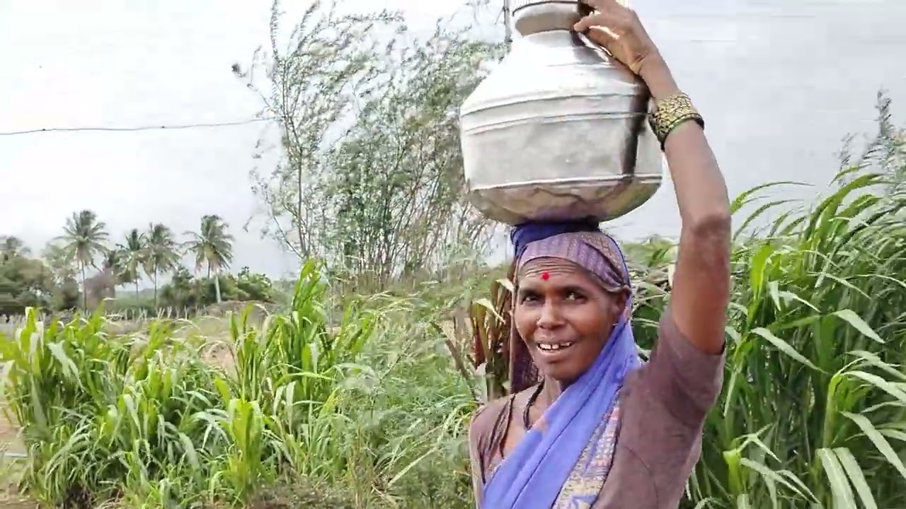 मोगम वाडी थरारक घरात विषारी नाग साप बघा अंगावर काटा येईल,
