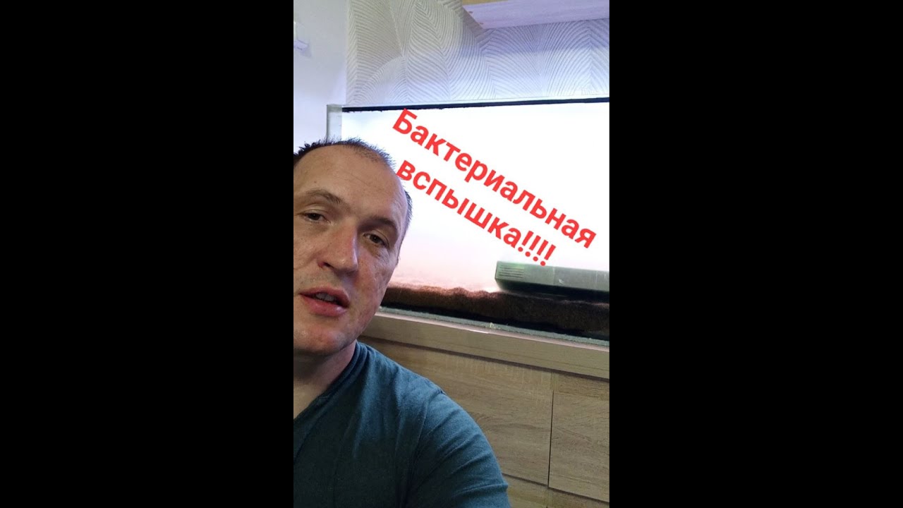 2. Аквариум на земле 210 л. Запуск. Бактериальная вспышка.
