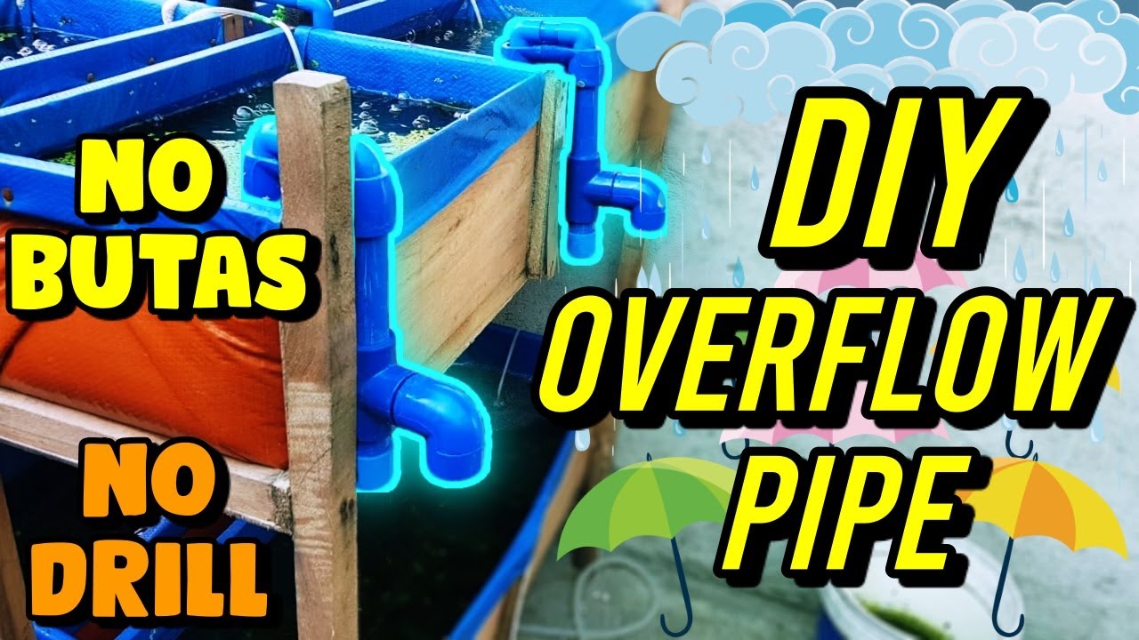 DIY OVERFLOW PIPE | NO DRILLING | POND | AQUARIUM | MOLLY | GUPPY