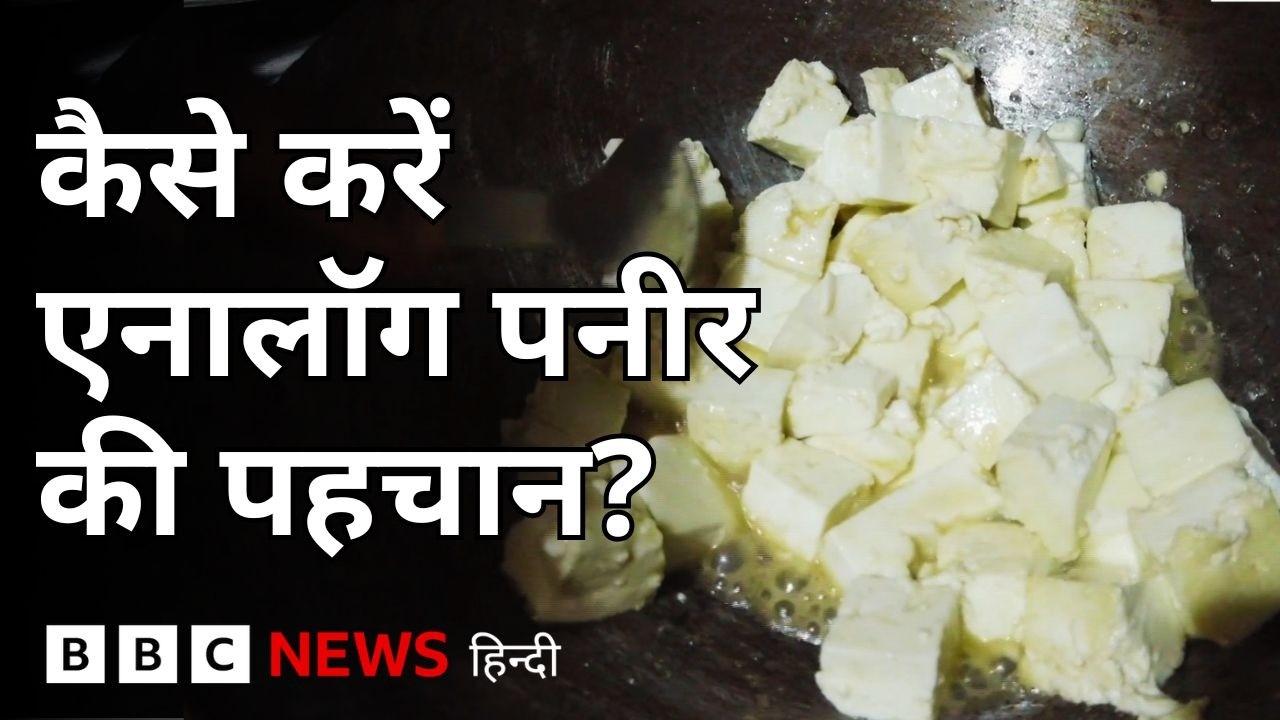 Analogue Paneer Ban: असली पनीर और एनालॉग के बीच कैसे करें फ़र्क? | (BBC Hindi)