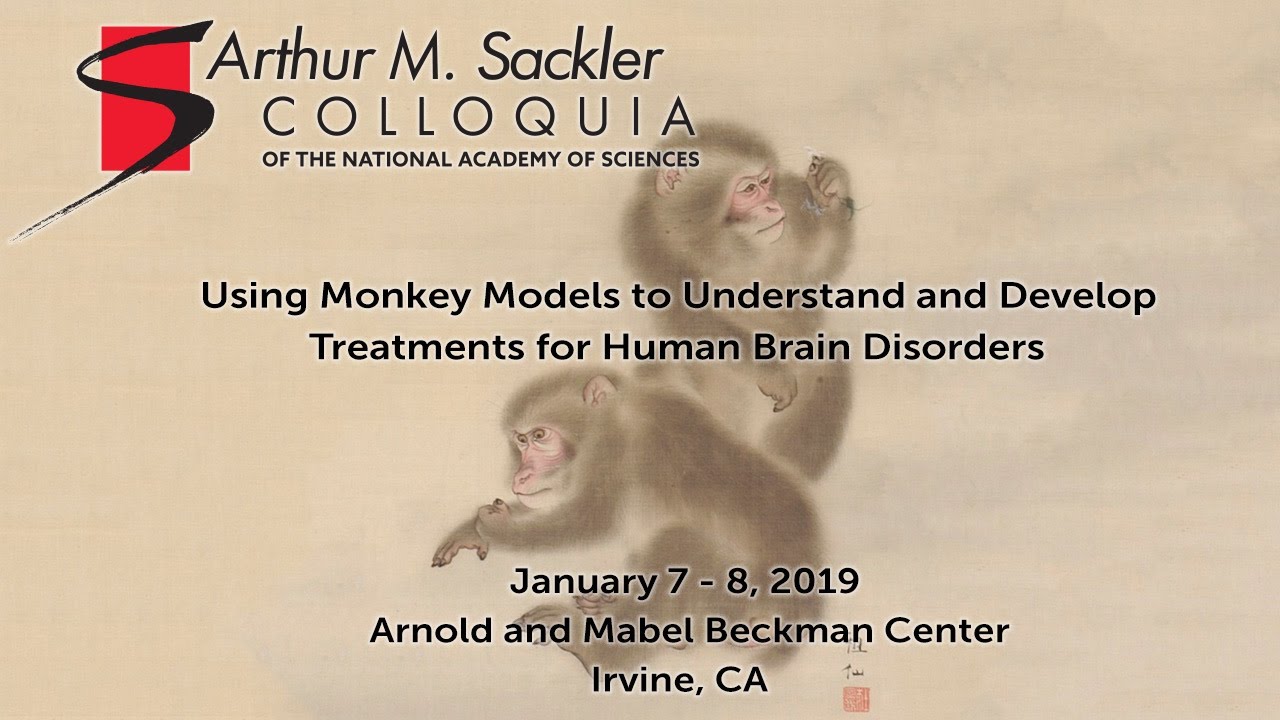 John Maunsell: Comparing Monkeys and Mice as Behavioral Models for Humans