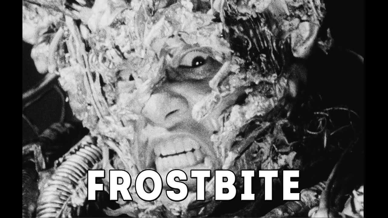 FROSTBITE: Dark 90s Boom Bap Type Rap Instrumental (Necro x Wu-Tang Style Old School Hip-Hop Beat)
