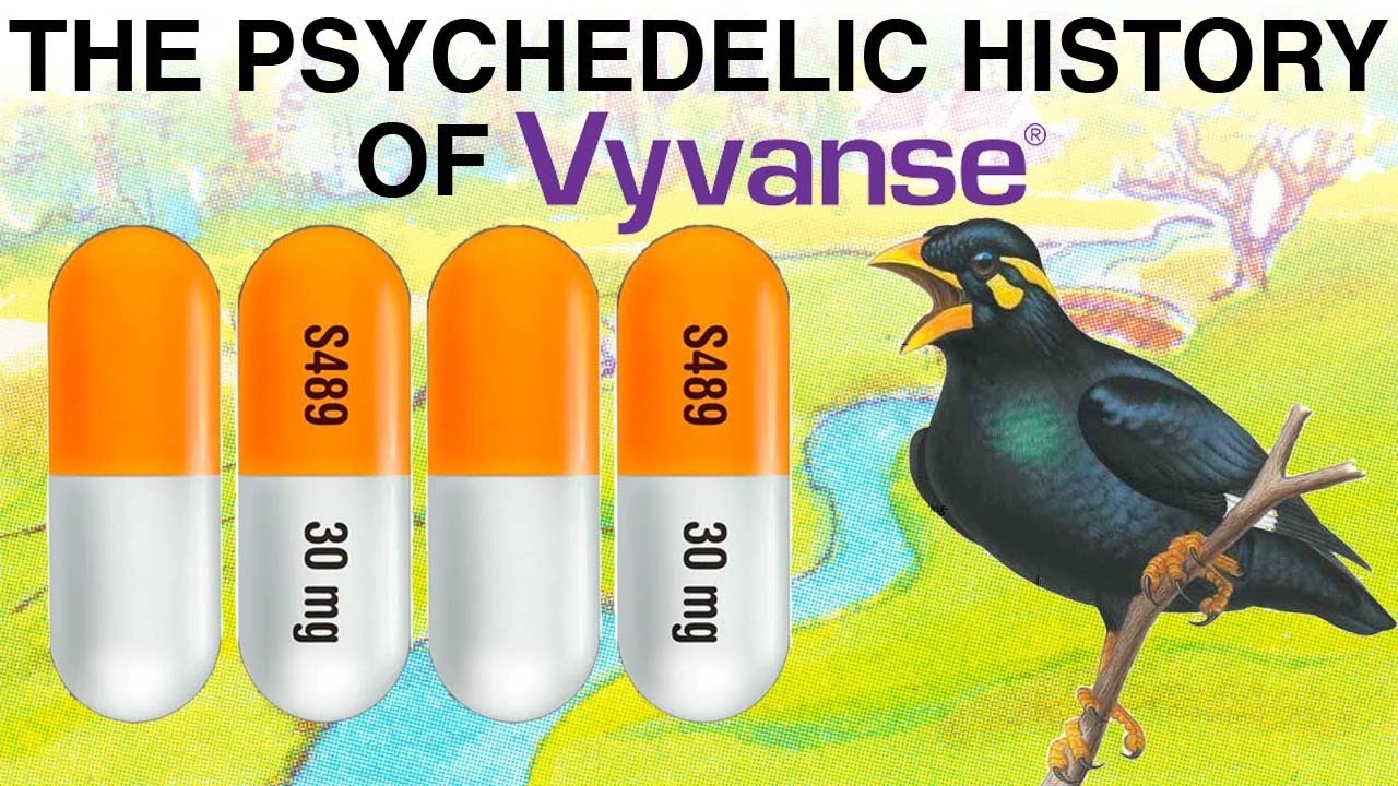 Hamilton Morris interviews Vyvanse inventor Dr. Robert Oberlender