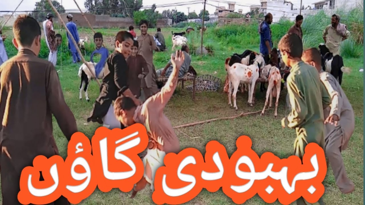 Behboodi Village Daily Routine Life | with munir sarhadi great saaz of sarinda | #sajjadkhan