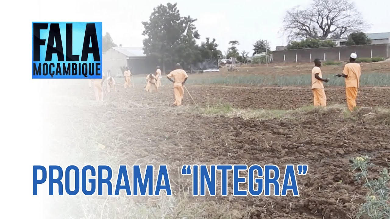 Reclusos e jovens dos Serviços Cívicos dinamizam produção agrícola em Tete @PortalFM24