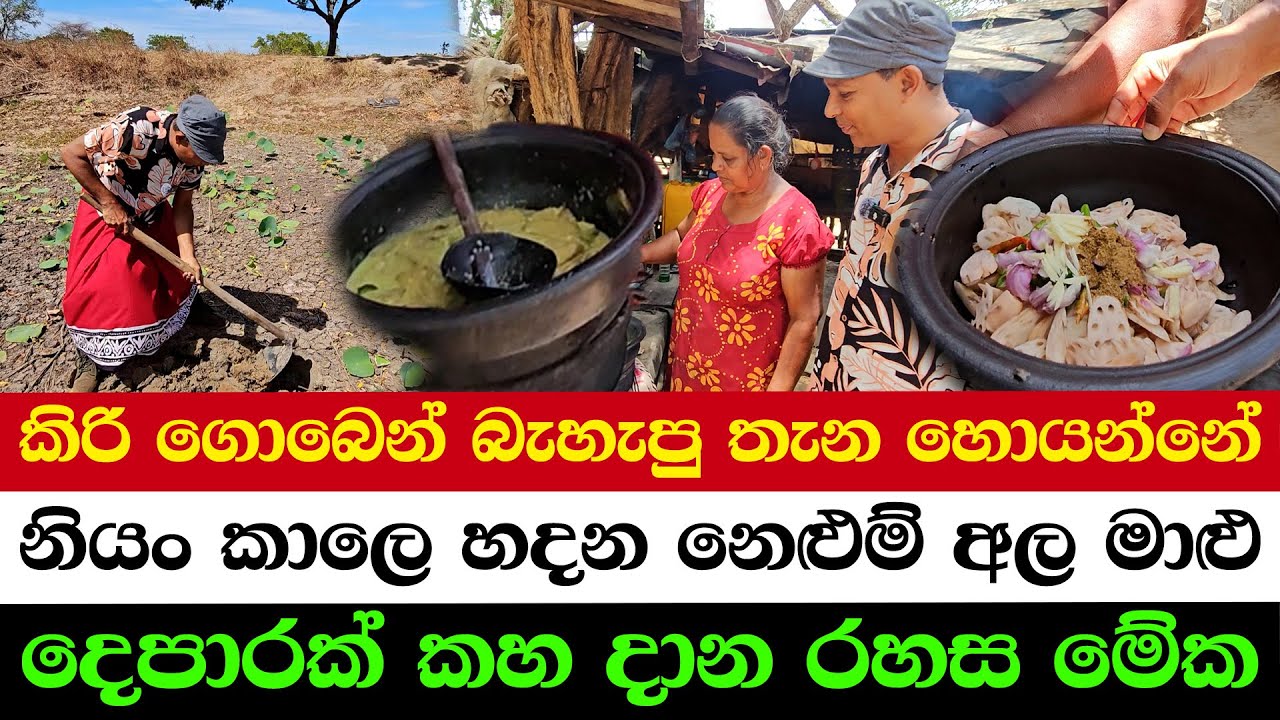 Lotus Root Curry with Fish – A Rare Traditional Dish
