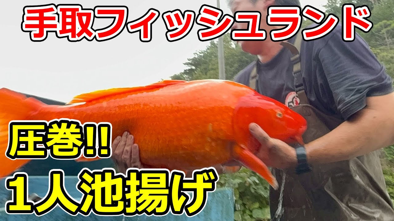 【池揚げ】手取りフィッシュランド池揚げ