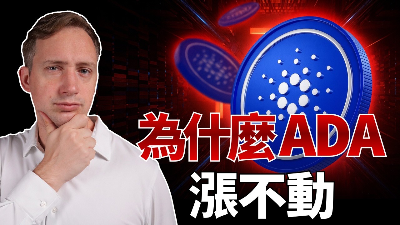 TVL、活躍用戶、開發者數據全解：Cardano 到底穩健還是掉隊？