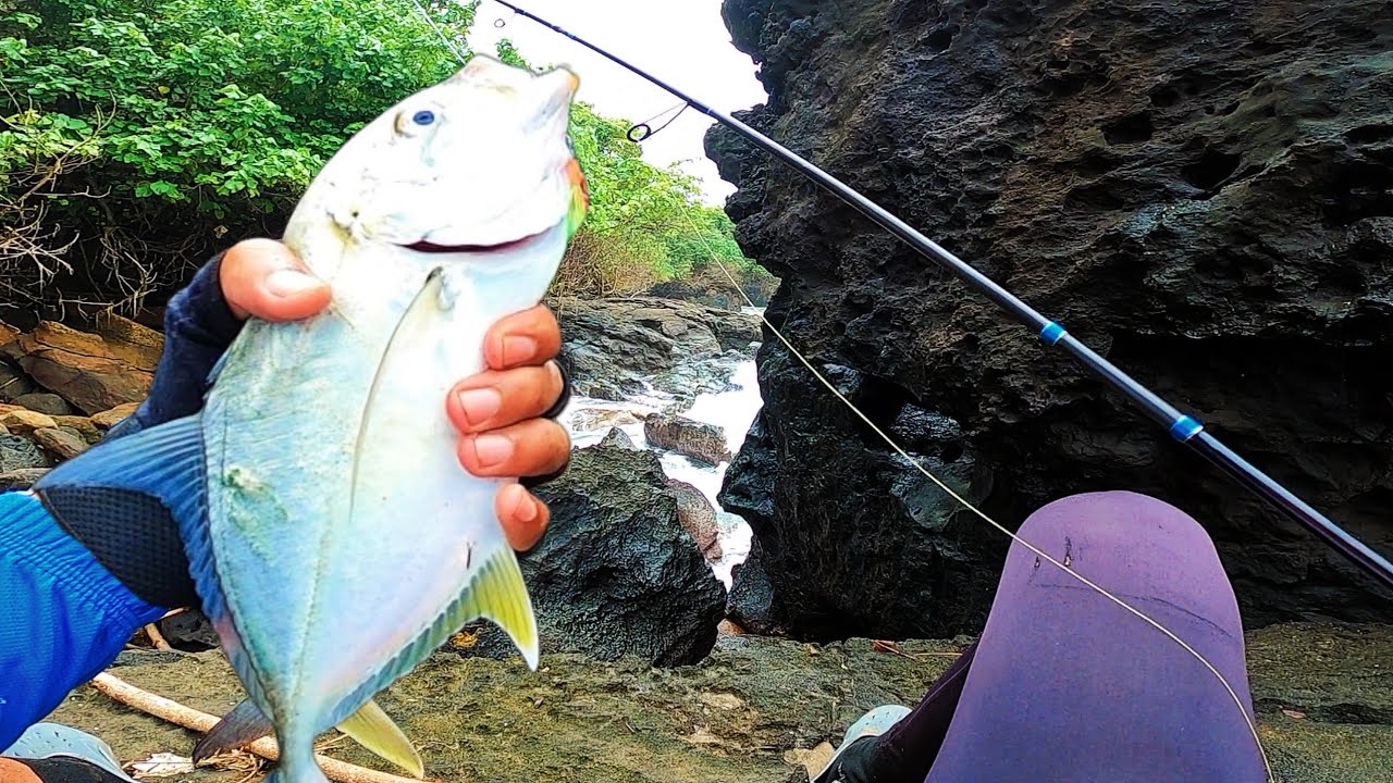 IKAN GT KUMPUL DISINI !! MANCING DI SPOT PINGGIRAN SANGAT POTENSI