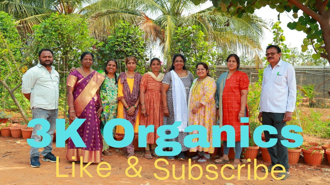 ప్రకృతి ప్రేమతో మన “3K Organics” తోటను చూడడానికి వచ్చిన గార్డెన్ ప్రియులు🌱 #shortsviral #shortvideos