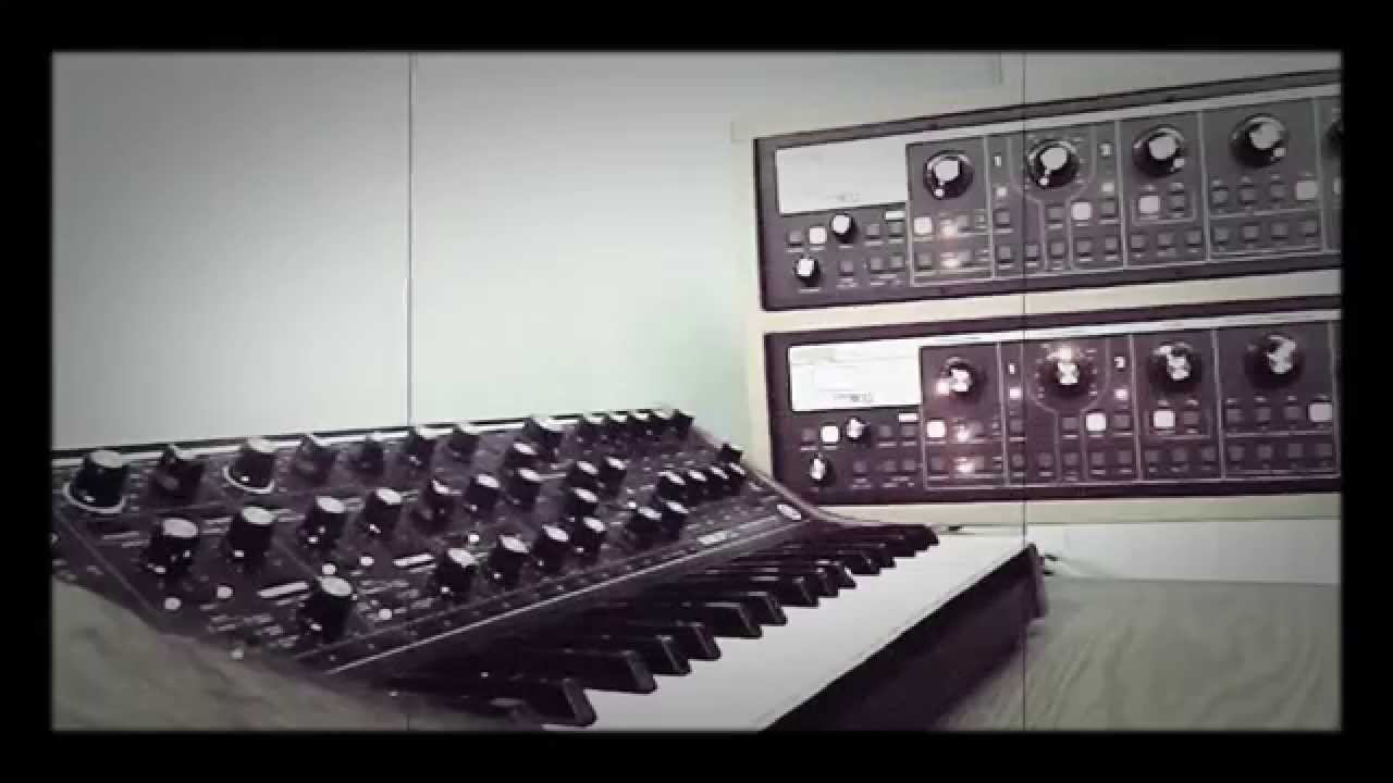 Moog Sub 37 + Slim Phatty Polychain:  Sequence