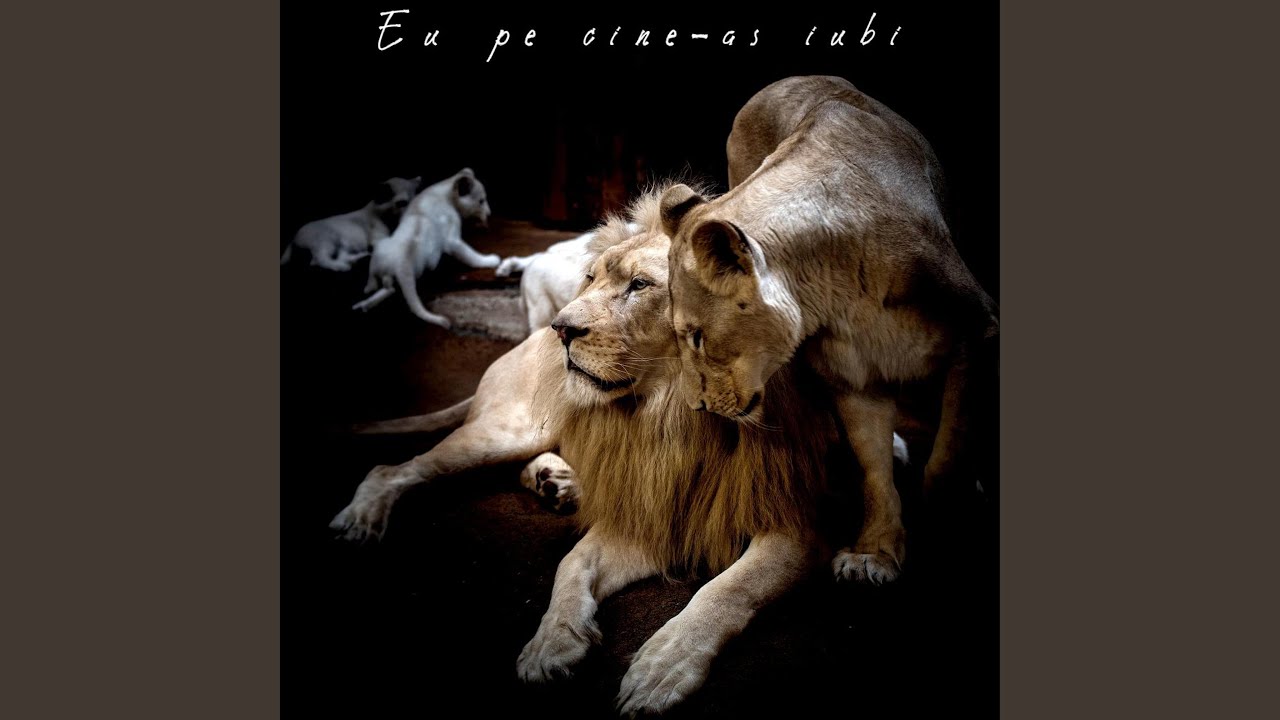Eu pe cine-as iubi