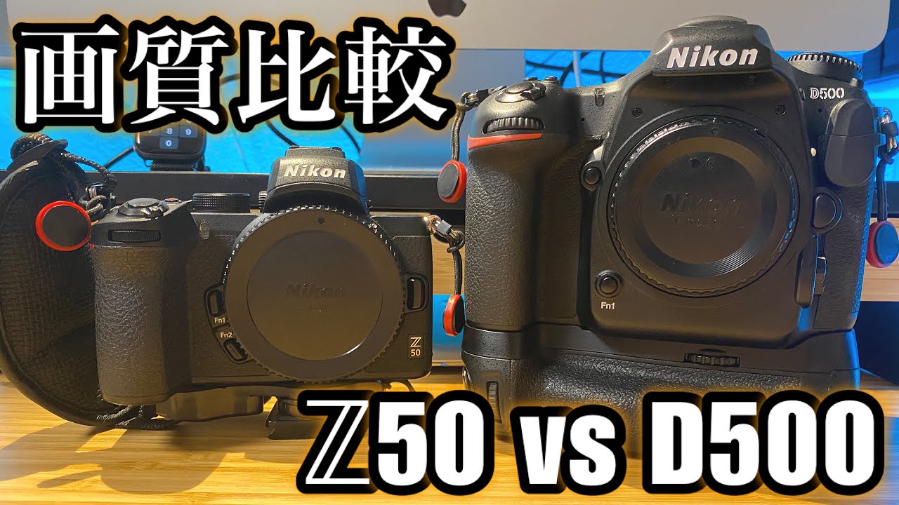 【時代に逆行な比較】D500とZ50の画質を再び、比べてみる。