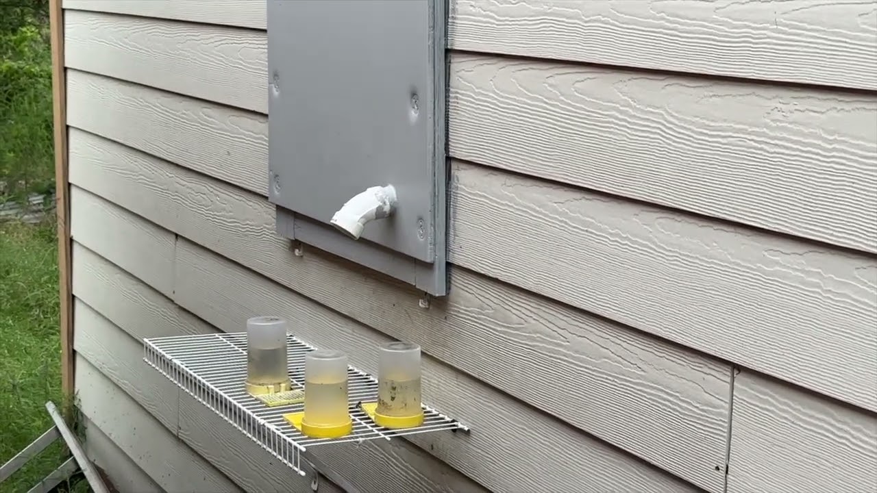 Indoor Beehive (on purpose)
