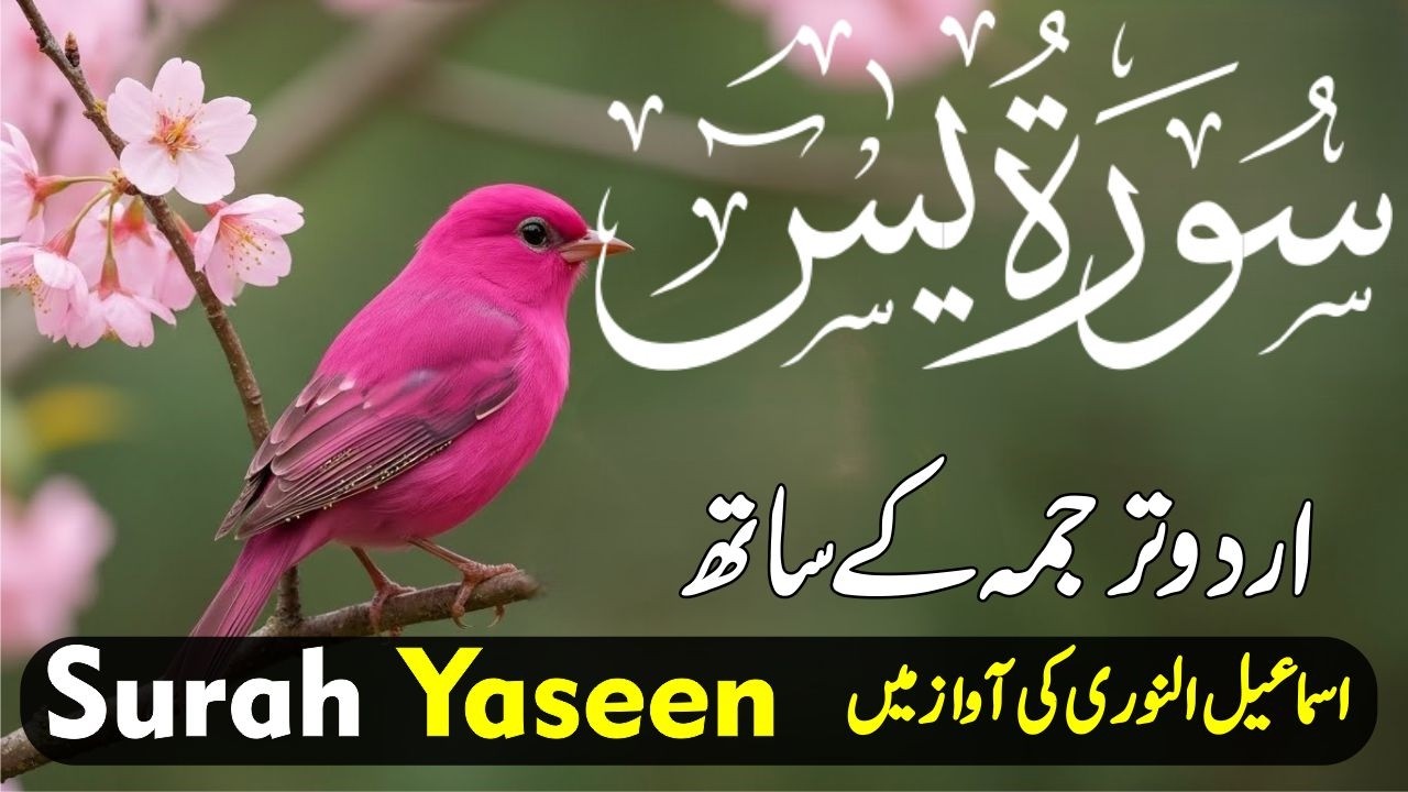 Surah Yasin Full | Heart Touching Recitation | Urdu & Hindi Translation | سورہ یٰسین
