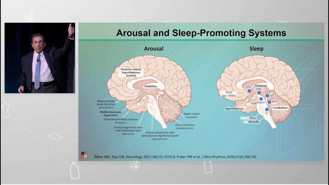 Arousal and Sleep Promoting Systems
