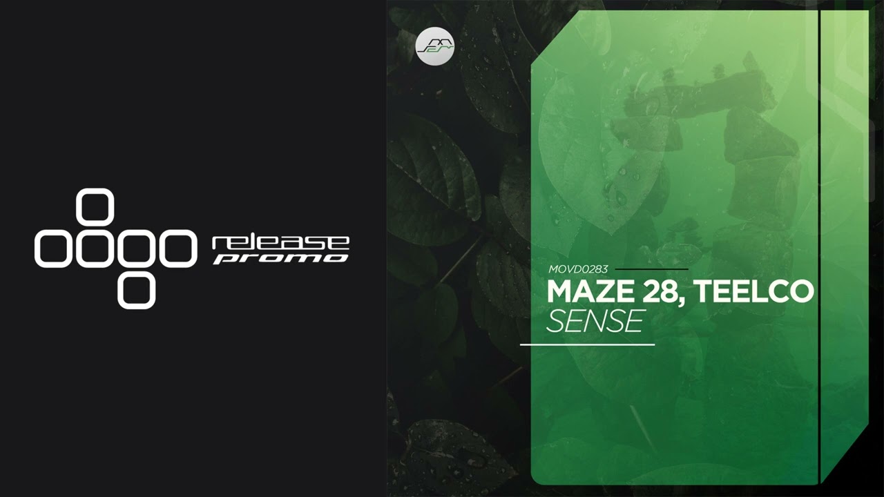 PREMIERE: Maze 28 & TEELCO - Sense [Movement Recordings]