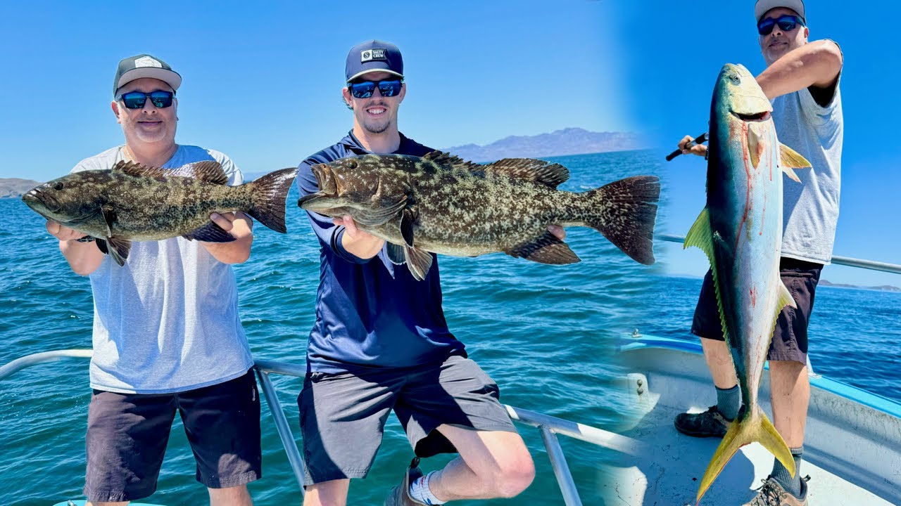 Ep. 2: Speed Jig Yellowtail & Wide Open Cabrilla!