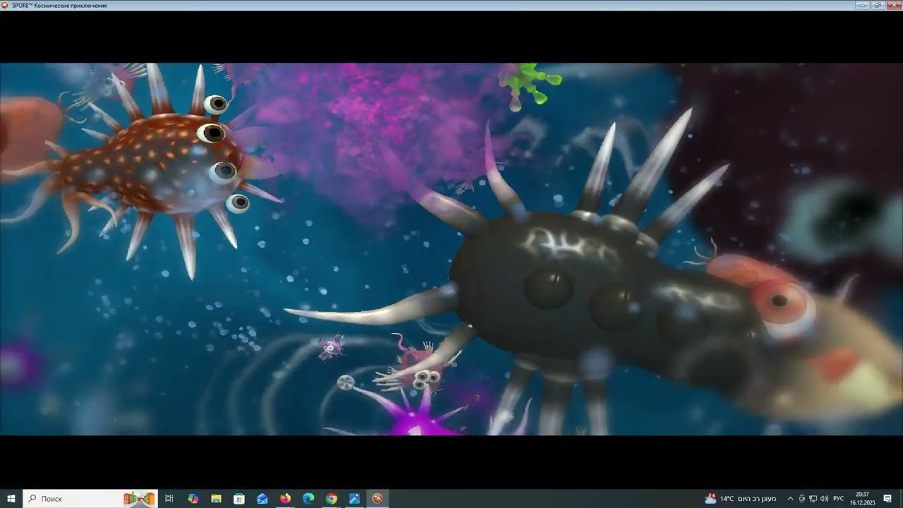 Spore 455665433