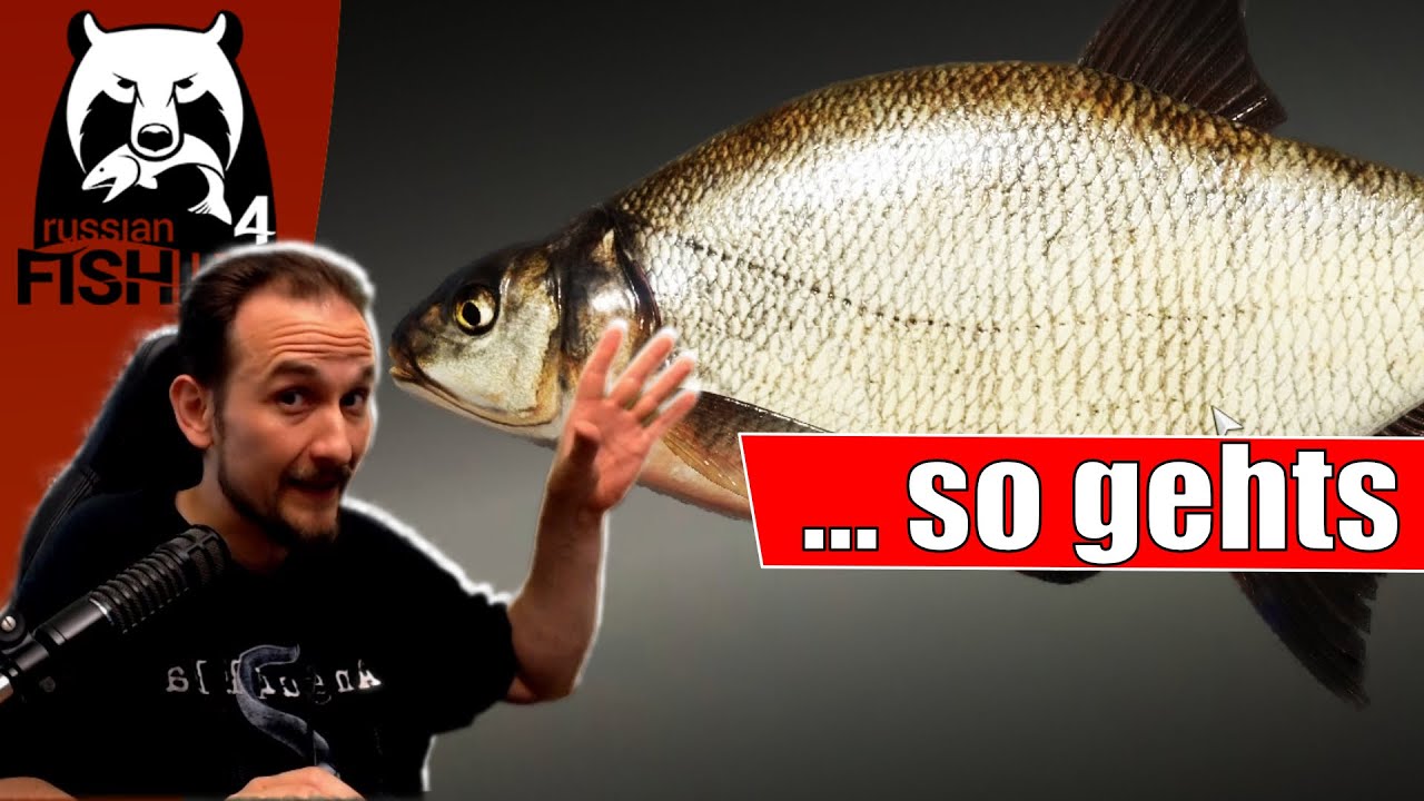 Russian Fishing 4 - Alte Festung - Brassen, Das ist Wichtig!