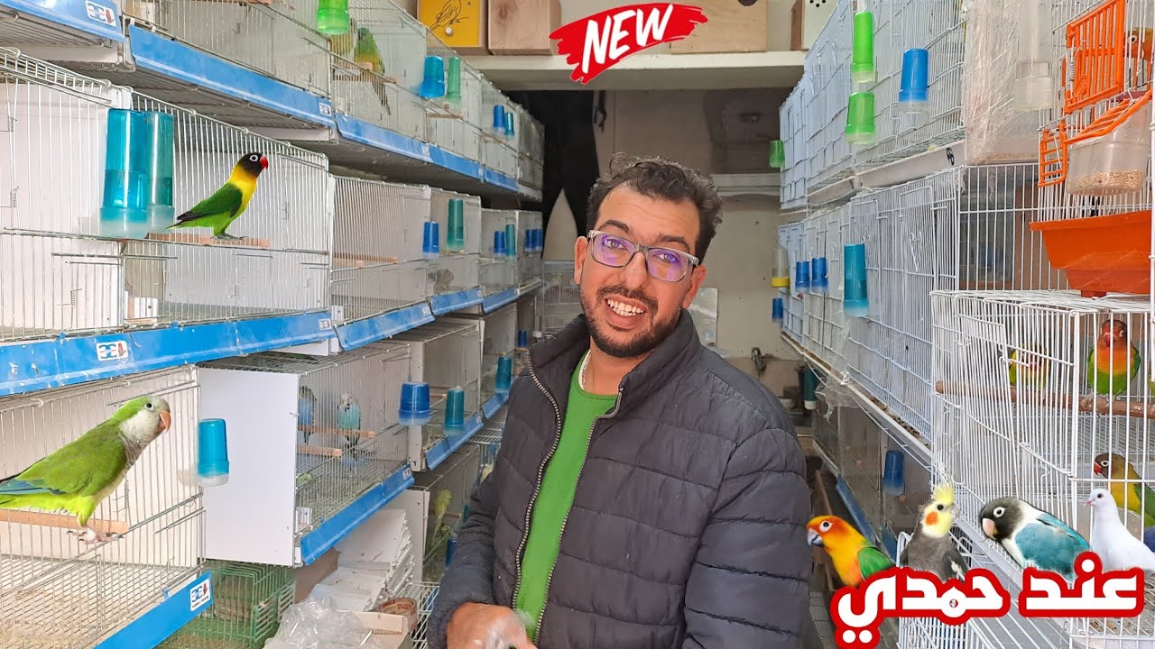 الجديد✅️عشاق الريد رامب الكروبيون زيارة عند حمدي اجيو نتولعو فرجة ممتعة