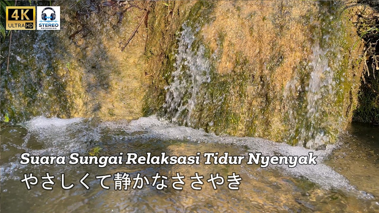 Suara Sungai Pegunungan Lembut untuk Tidur & Relaksasi | White Noise Alami, Meditasi & Fokus